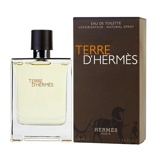 Hermès Terre d'Hermès EDT Erkek Parfüm 100 Ml